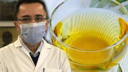 Mirakelte mot viruset: Vilka är fördelarna med olivbladte? Att göra olivbladte