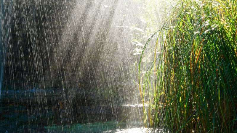Böner som ska läsas upp för regnvattnet! Läker aprilregnet? Fördelar med aprilregn