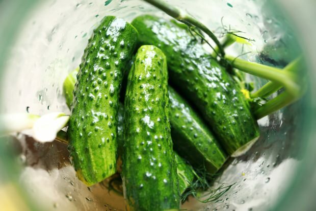 Hur man gör pickles hemma