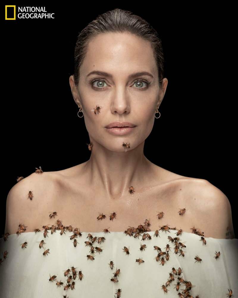 Angelina Jolie i lins med bin för bin!