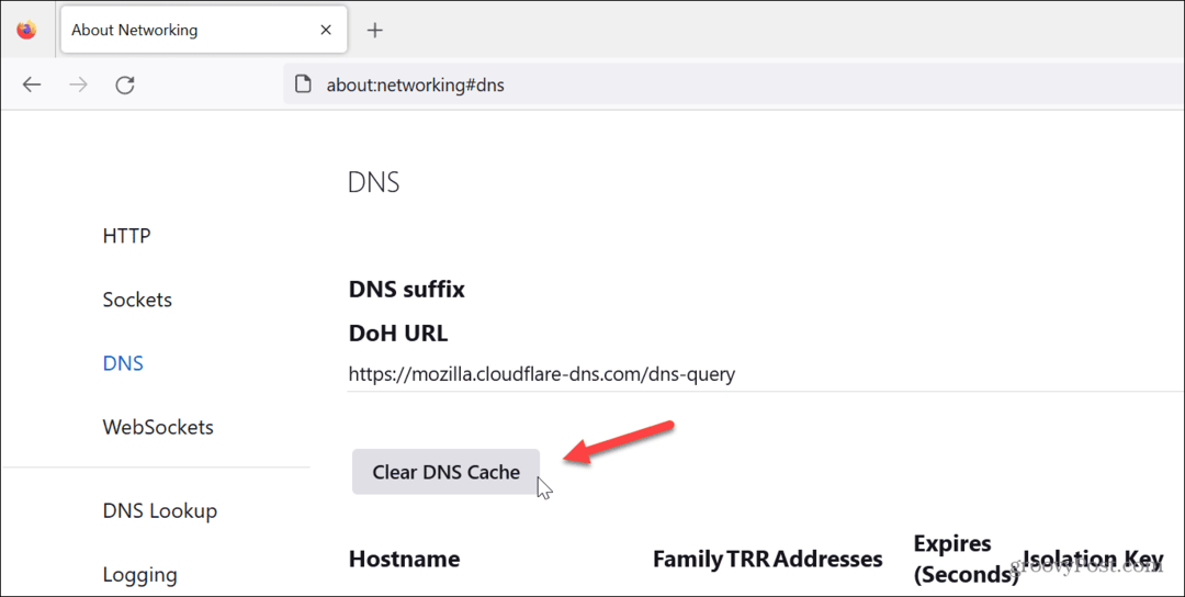 Spola DNS-cache 