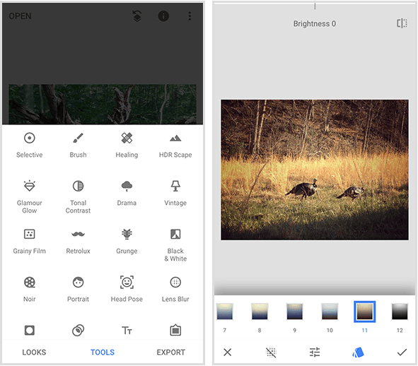 En Snapseed-meny till vänster visar 20 olika verktyg, och ett exempel på Snapseed-filter till höger visar a foto av två vilda kalkoner som går i gyllene gräs och en meny med filter på botten av en mobil skärm.