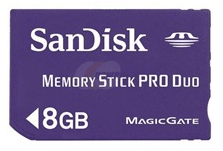 Dandisk Memory Card 8GB