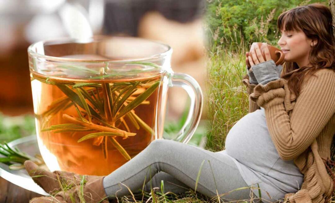 Kan gravida kvinnor dricka vinterte? Vilket te ska drickas under graviditeten? vinterteer för gravida kvinnor