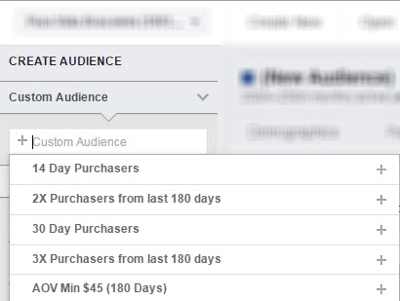 Analysera din valda anpassade målgrupp i Facebook Audience Insights.