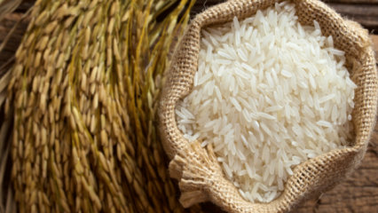 Hur förstås det bästa av ris? 