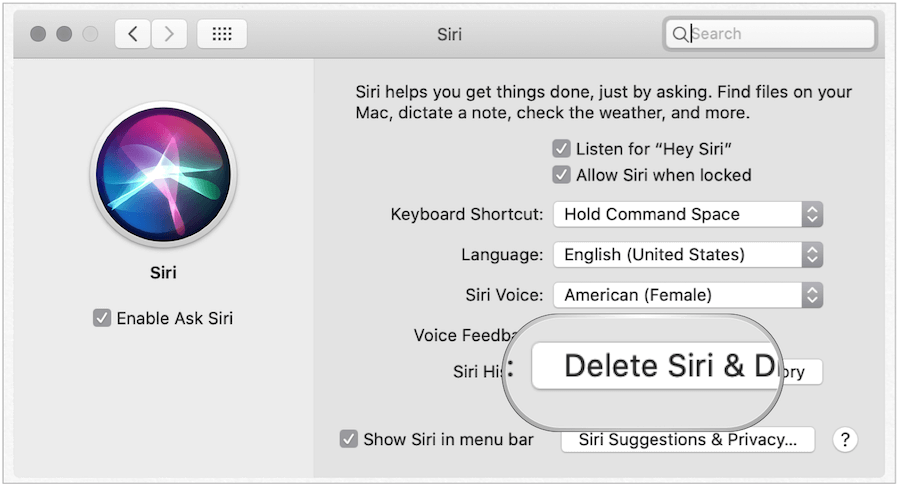 Radera Siri History på Mac