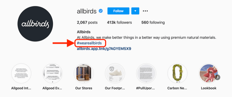 exempel på en företagshashtagg som ingår i profilbeskrivningen på Instagram-kontot @allbirds