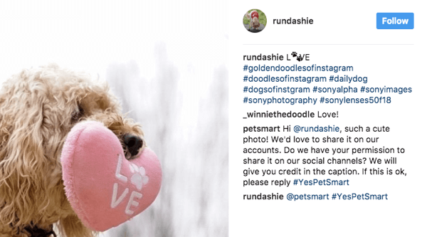 PetSmart granskar en mängd olika husdjursrelaterade hashtags och ber fans om tillstånd att använda relevanta bilder i sin marknadsföring.