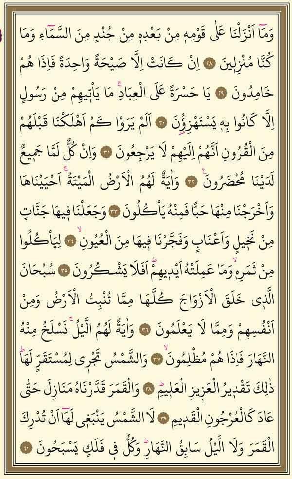 Surah Yasin 3:e sidan
