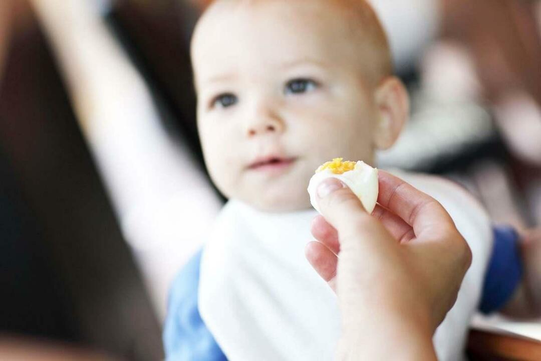 bebis äter ägg