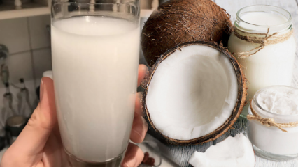 Vad gör kokosnötvatten? Vilka är fördelarna med kokosnöt?
