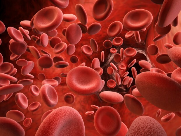 Vilka är symtomen på blodplättshöjd?