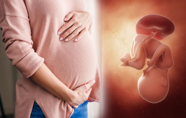 Vilka är symtomen på graviditet? Symtom på tidig graviditet