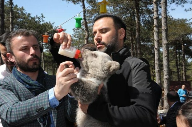 Överraskande "björn" -reaktion från Alişan, känd för rädsla för hundar!