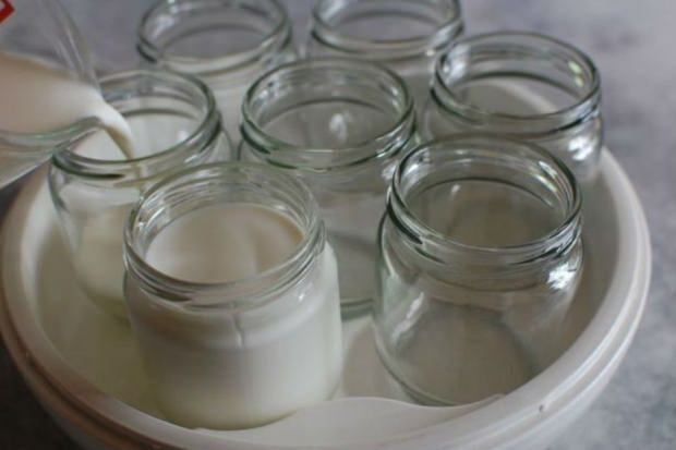 yoghurt från bymjölken