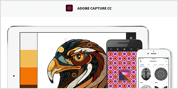 Adobe Capture skapar en palett från en bild som du tar med en mobil enhet. Webbplatsen visar en illustration av en fågel och en palett som skapats från illustrationen, som inkluderar ljusgrå, gul, orange och rödbrun.