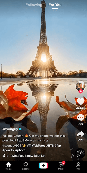 skärmdump av tiktok-inlägg av @ wonguy974 med titeln falsk höst, som visar Eiffeltornet i silhuett och solnedgången bakom den med sin reflektion i en pöl inramad av två fallblad längst ner på bild