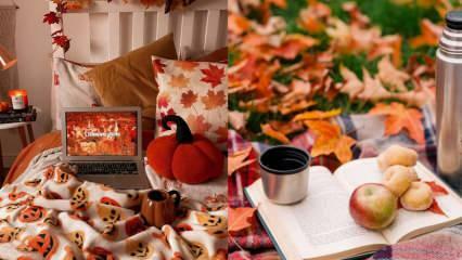 Vilka är de bästa aktiviteterna att göra på hösten? Aktiviteter att göra hemma på hösten...
