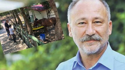 Altan Erkekli sågs på hästgården Sarıyer med sin son!