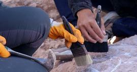 Upptäckt som kommer att förändra historiens gång: Arkeologer hittade världens äldsta träkonstruktion