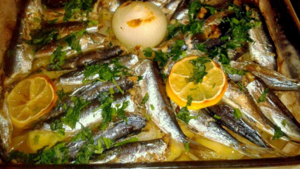Hur man lagar sardinfisk? Det enklaste sardinereceptet