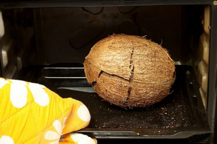 Hur man klipper kokosnöt