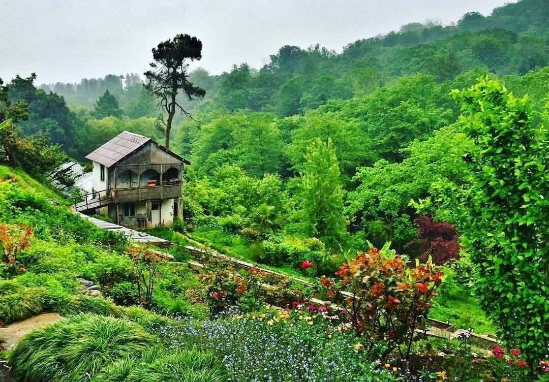 Batumis botaniska trädgård