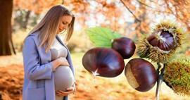 Kan gravida kvinnor äta kastanjer? Fördelar med att äta kastanjer under graviditeten för barnet och mamman