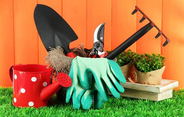 hur man rengör trädgården