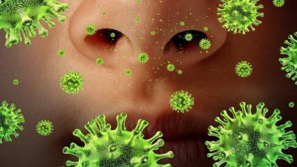 Återuppstår: Vad är Sars-viruset och vilka är dess symtom? Hur överförs Sars-viruset?