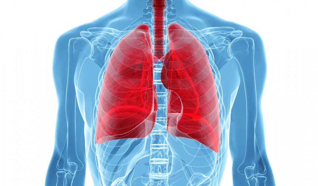 Vad är White Lung Syndrome och vilka är dess symtom? Vad är behandlingen för White Lung Syndrome?