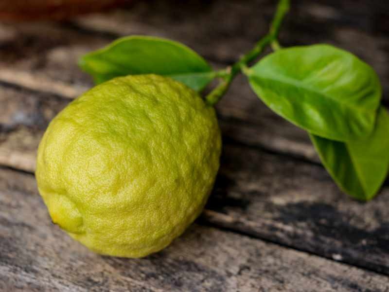 Bergamots utseende liknar citron