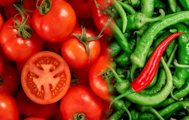 Försvagas tomat och peppar
