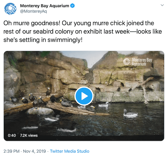tweet från Monterey Bay Aquarium som ett exempel på ett varumärkes röst i sociala medier