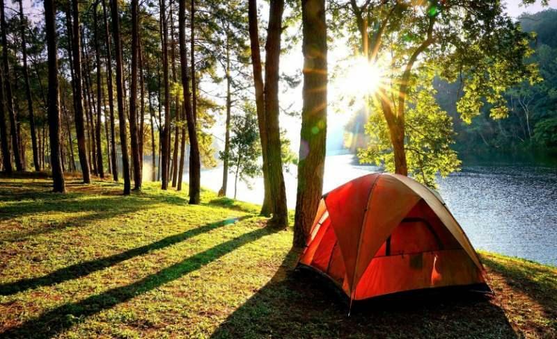 Camping i Belgradskogen 