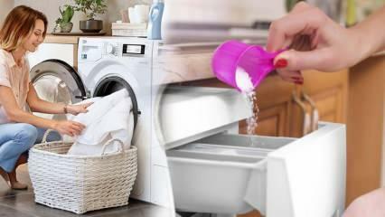 Vilket är det bästa tvättmedlet för vita? Bästa rekommendationerna för tvättmedel! Det bästa pulvertvättmedlet
