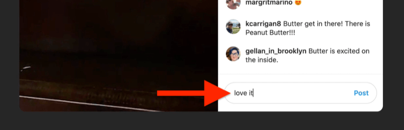 xscreenshot exempel på ett instagram live med kommentarrutan markerad och befolkad av en tittare som säger "älskar det"