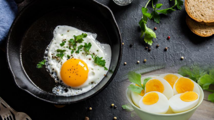 Vad är en kokt äggdiet? "Ägg" diet, försvagad 12 kilo i veckan