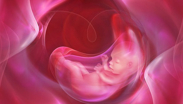 Vad är Placenta Previa? Hur gör man navelstrengsvård hos spädbarn? Om navelsträngen är lång ...