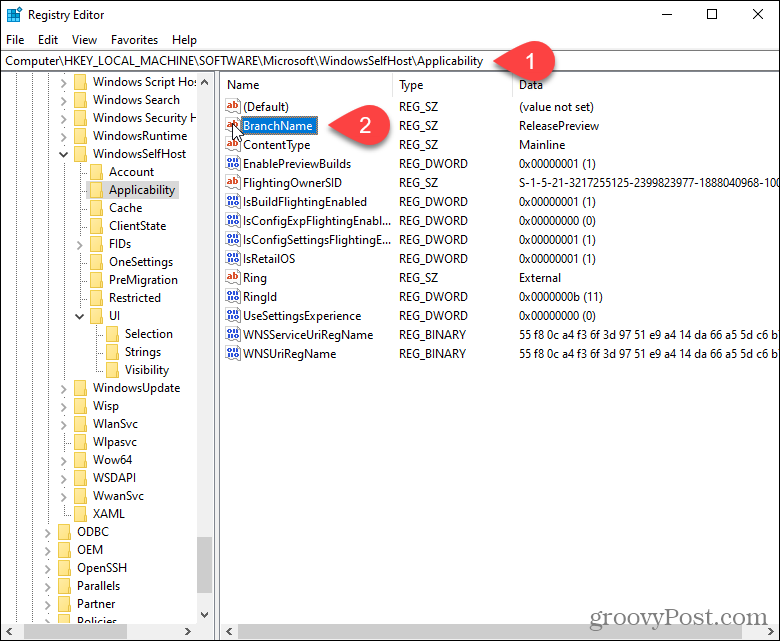 Dubbelklicka på BranchName-nyckeln i Windows-registret