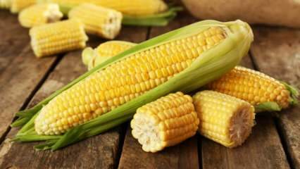 Vad är skadorna på majs?
