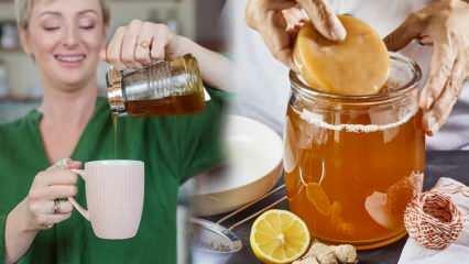 Försvagar kombucha te? Hur gör man viktminskning kombucha? Fördelar med Kombucha-te