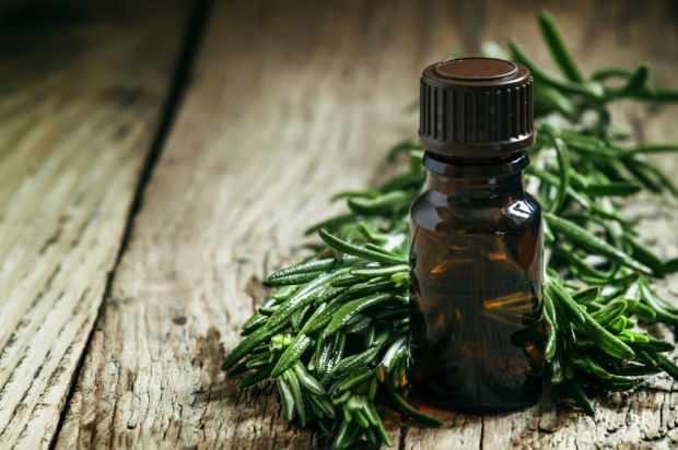 tea tree oil används för att behandla akne och fläckar