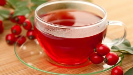 Vilka är fördelarna med rosehip? Hur man brygger rosehip te?