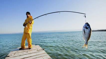 Hur fiskar man? Vilka är knep för att fiska med en fiskespö?
