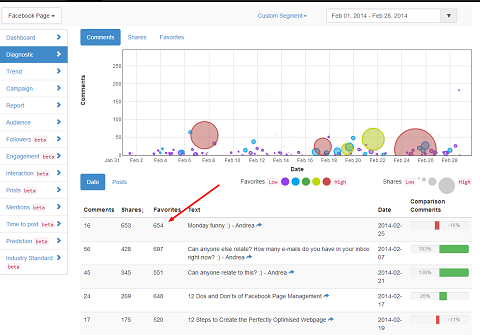 truesocialmetrics Facebook-rapport