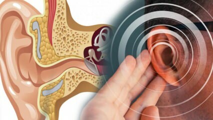 Öronsjukdom: Vad orsakar menier? Vilka är symtomen på Meniere? Finns det ett botemedel?