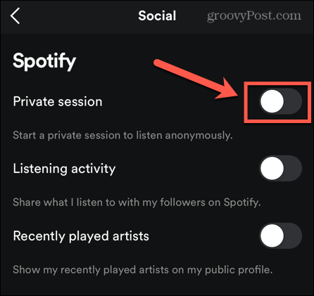 spotify mobil privat session