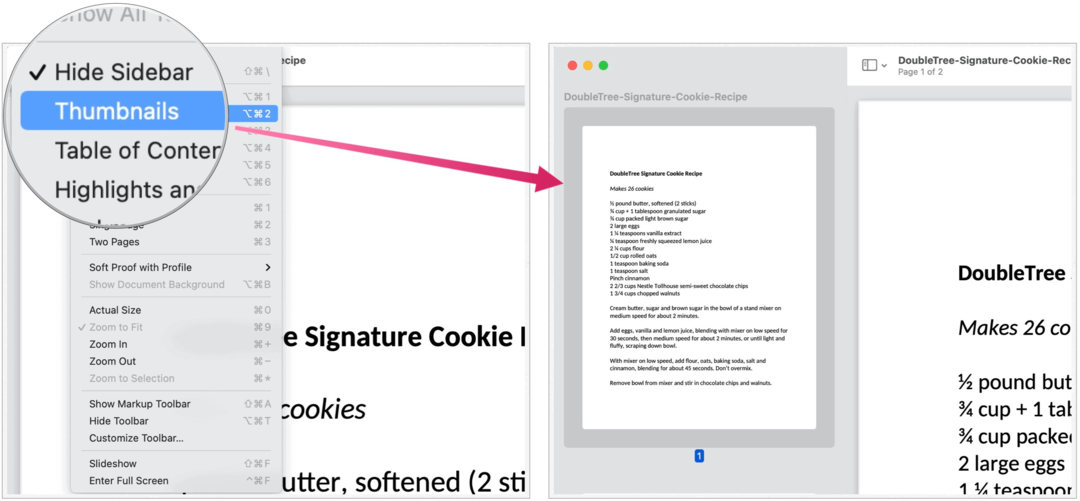 PDF-miniatyrer